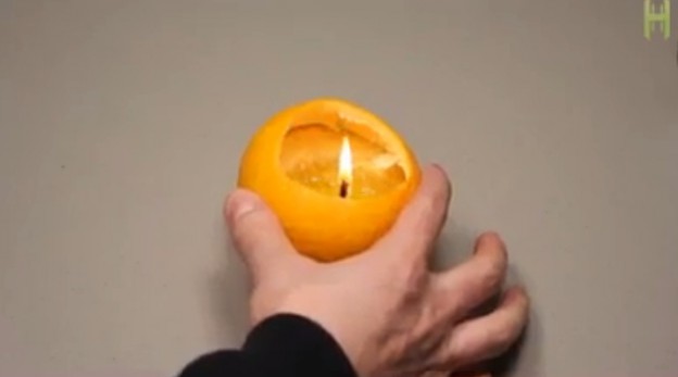 橘子,橘,,柑橘