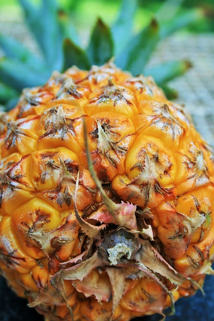 pineapple-5