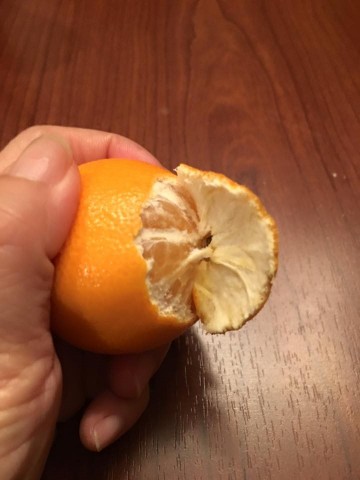 橘子一條龍2