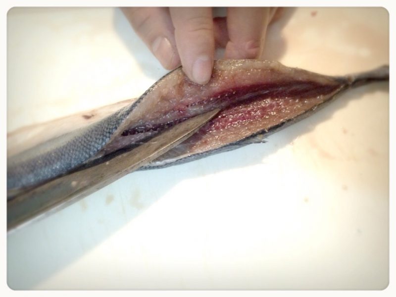 秋刀魚8