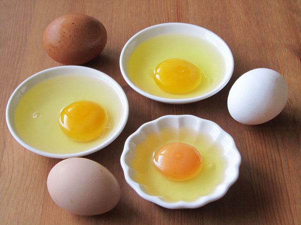 egg-4-1