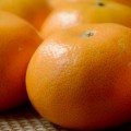 橘子,柑橘,陳皮