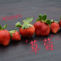 草莓一族