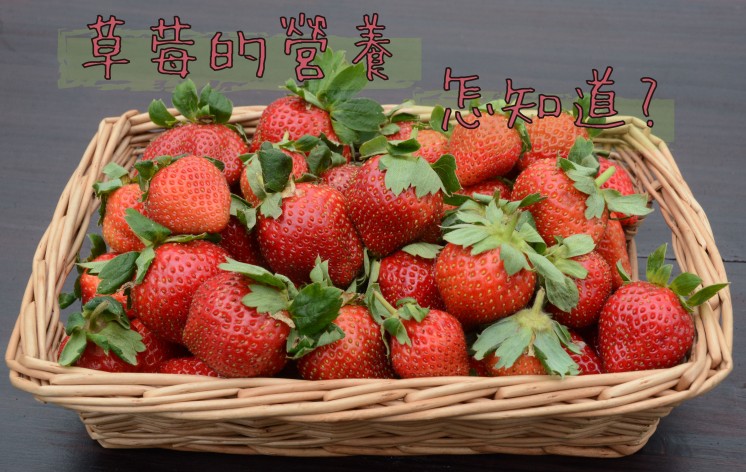 草莓營養