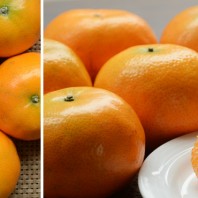 茂谷柑,柑橘,橘子