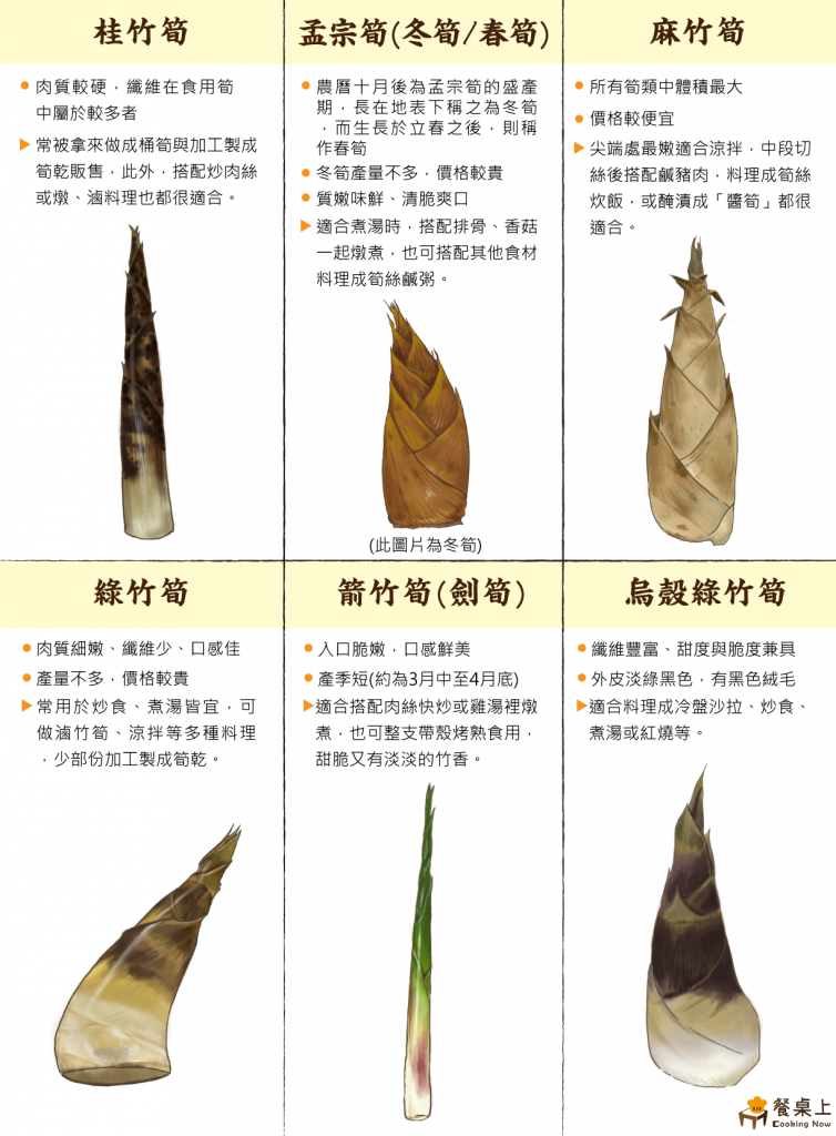 竹筍種類分辨