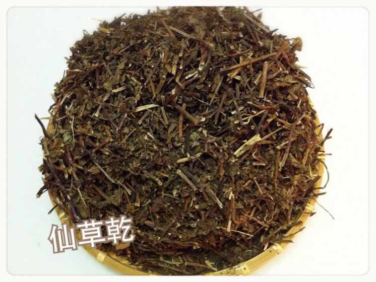 仙草茶-1