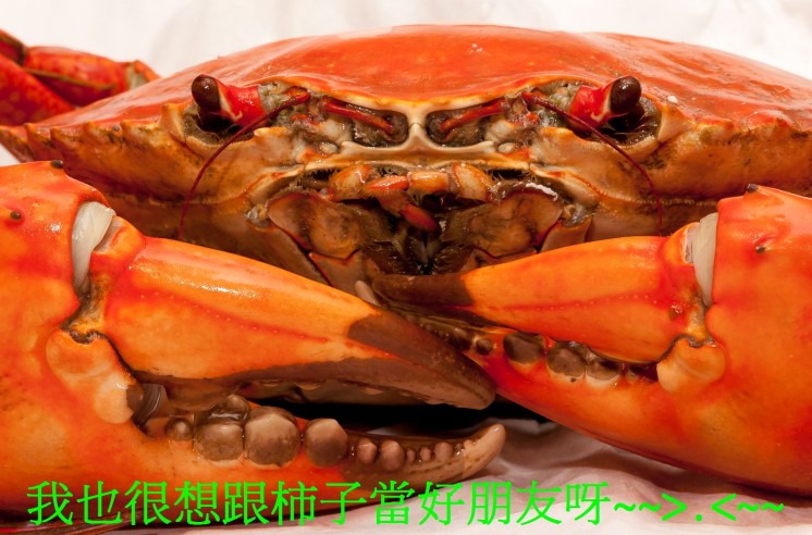crab-1