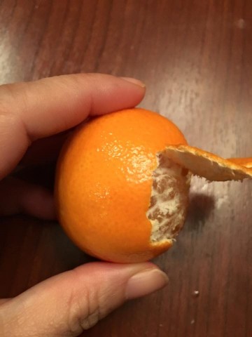 橘子一條龍1