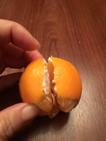 橘子一條龍3