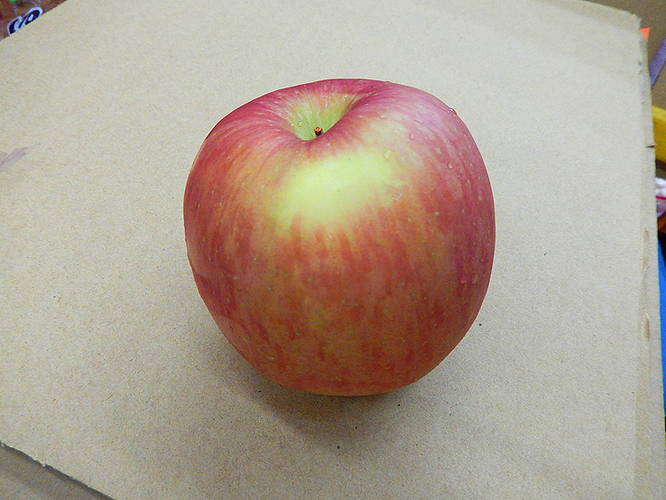 單顆蘋果