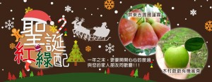聖誕活動紅綠配-水果