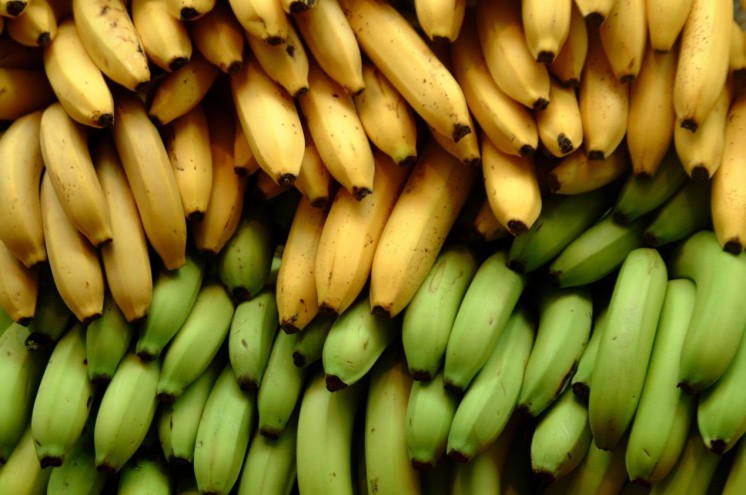 芭蕉香蕉1