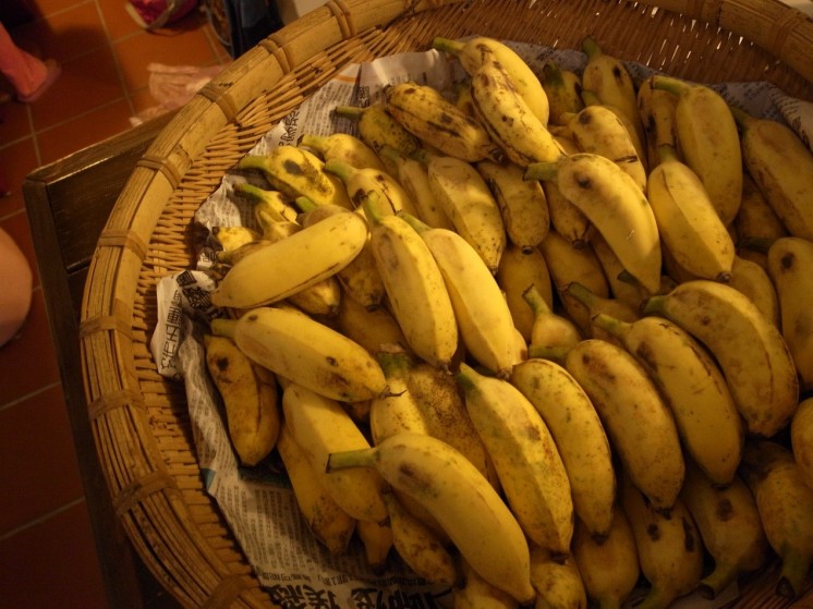 芭蕉香蕉2