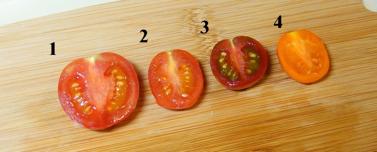 番茄1