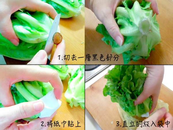 葉菜類保存方式(2)