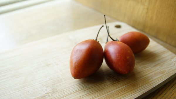 樹番茄1